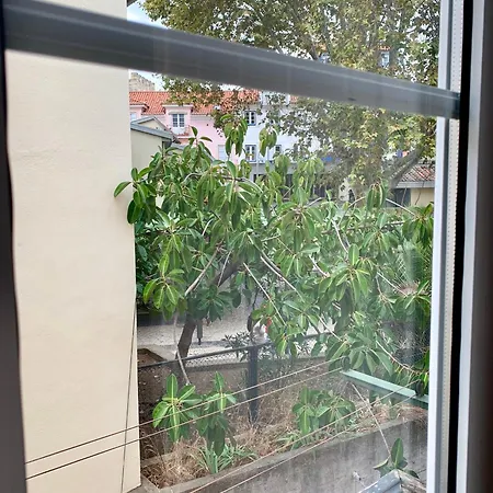 公寓 Center Castelo De Sao Jorge *